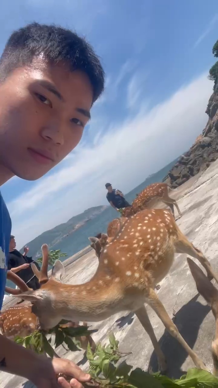 照片標題
