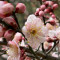 user名稱
