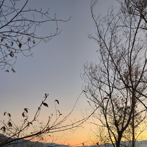 user名稱