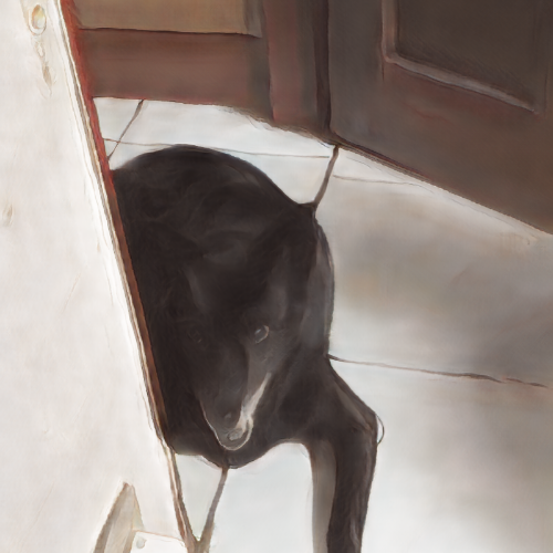 慕楊犬籌碼