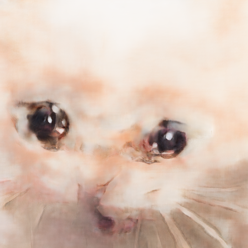 王子翔籌碼